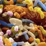 Ветом и ковид?